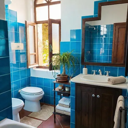 Blue Living Daire *